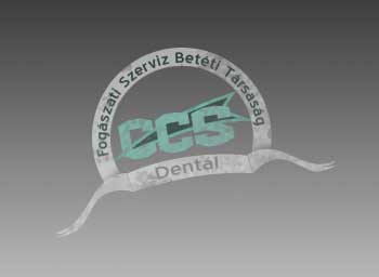 Honlapkészítés, logótervezés: CCS Dental